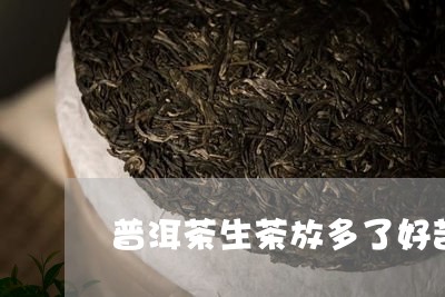 普洱茶生茶放多了好苦/2023080375038