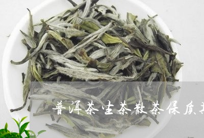 普洱茶生茶散茶保质期/2023100731039