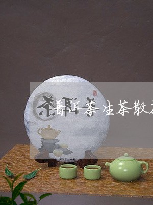 普洱茶生茶散茶排行/2023070936460