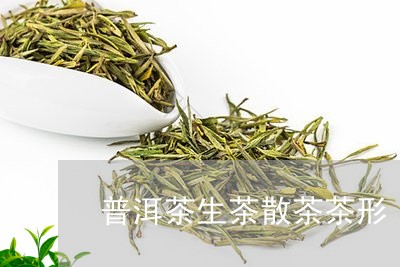 普洱茶生茶散茶茶形/2023081603936