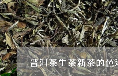 普洱茶生茶新茶的色泽/2023080262706