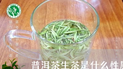 普洱茶生茶是什么性质的/2023102482647