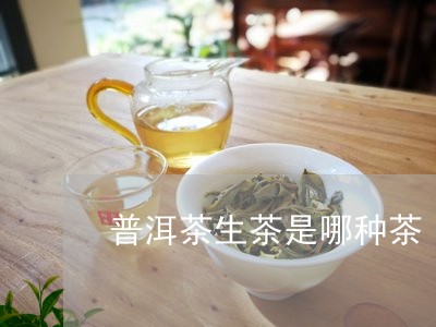 普洱茶生茶是哪种茶/2023091426028