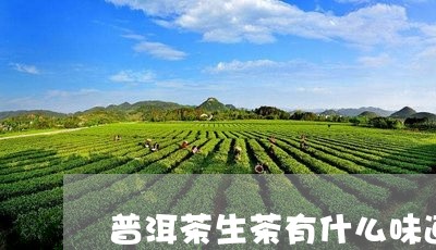 普洱茶生茶有什么味道/2023080355047