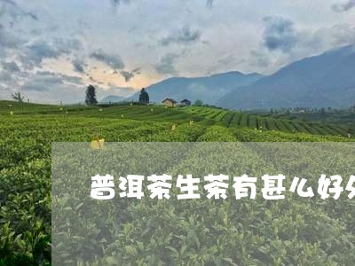 普洱茶生茶有甚么好处/2023080367289