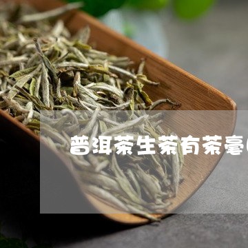 普洱茶生茶有茶毫吗/2023101705138