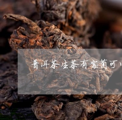 普洱茶生茶有霉菌可以喝吗/2023112941514