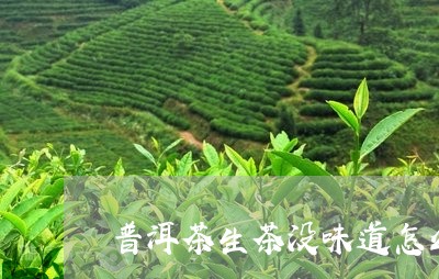 普洱茶生茶没味道怎么办/2023110370795