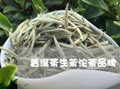 普洱茶生茶沱茶品牌/2023070985269