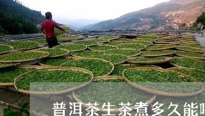 普洱茶生茶煮多久能喝了/2023081712713