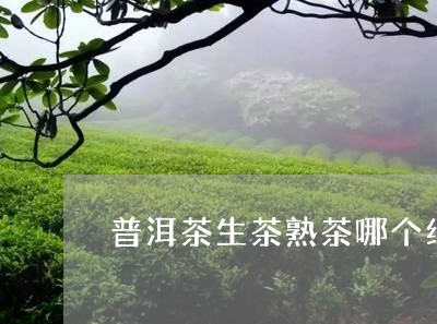 普洱茶生茶熟茶哪个红/2023062824826