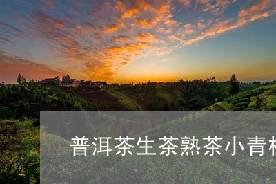 普洱茶生茶熟茶小青柑/2023062901493