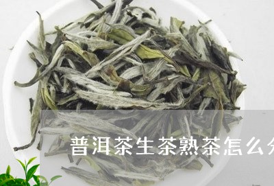 普洱茶生茶熟茶怎么分/2023062822482