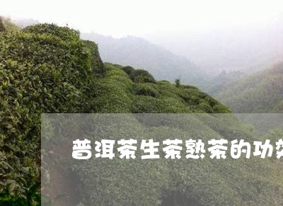 普洱茶生茶熟茶的功效与禁忌/2023052973925