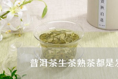 普洱茶生茶熟茶都是发酵吗/2023102584615