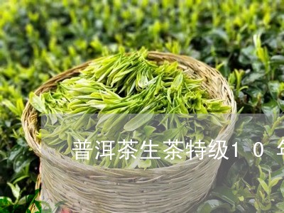 普洱茶生茶特级10年/2023120627249