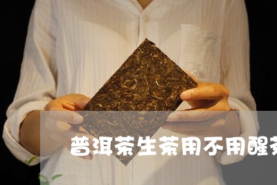 普洱茶生茶用不用醒茶/2023100723735