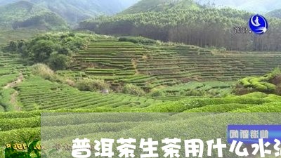 普洱茶生茶用什么水泡/2023080367493