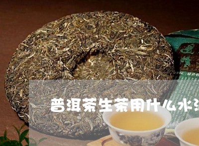 普洱茶生茶用什么水泡/2023100841703