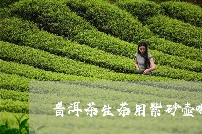 普洱茶生茶用紫砂壶哪种合适/2023110229581