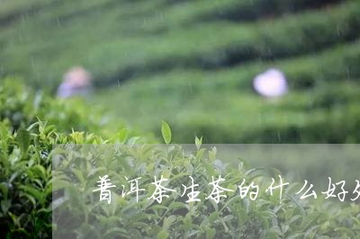 普洱茶生茶的什么好处/2023100769162