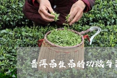 普洱茶生茶的功效与禁忌有哪些/2023110733845