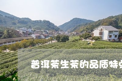 普洱茶生茶的品质特点/2023100754158