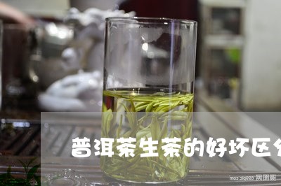 普洱茶生茶的好坏区分/2023080395738