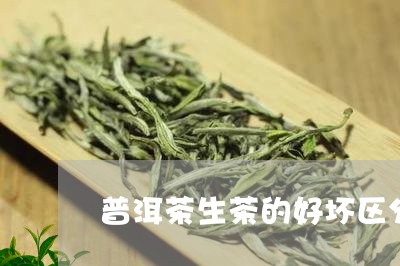 普洱茶生茶的好坏区分/2023100771025