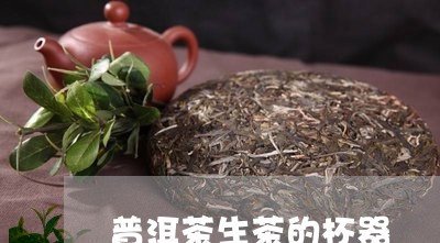 普洱茶生茶的杯器/2023110775149