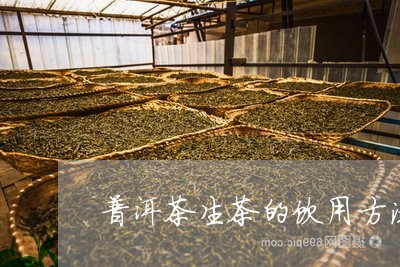 普洱茶生茶的饮用方法/2023100845735