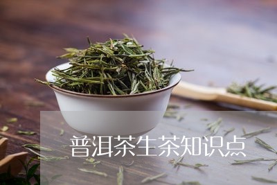 普洱茶生茶知识点/2023121773151