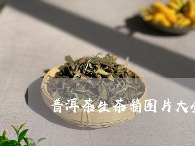 普洱茶生茶箱图片大全/2023080321483