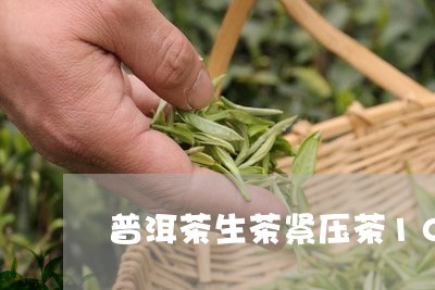 普洱茶生茶紧压茶10年/2023112467249