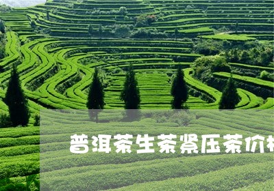 普洱茶生茶紧压茶价格多少/2023083043725