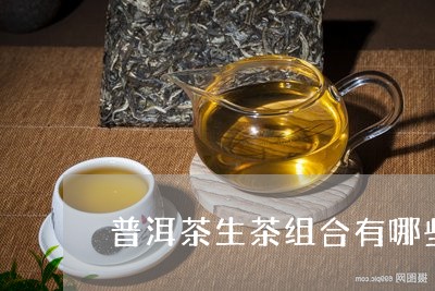 普洱茶生茶组合有哪些/2023120604835