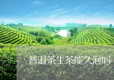 普洱茶生茶能久泡吗一天/2023121705250