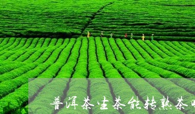 普洱茶生茶能转熟茶吗/2023080355935