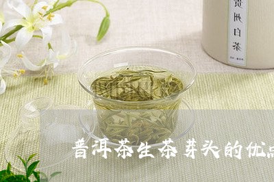 普洱茶生茶芽头的优点/2023120622604