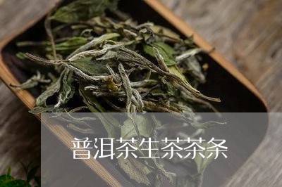 普洱茶生茶茶条/2023102679493