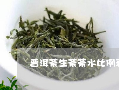 普洱茶生茶茶水比例表/2023092829573