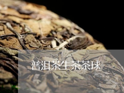 普洱茶生茶茶球/2023102614847