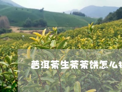 普洱茶生茶茶饼怎么撬开喝/2023112433917