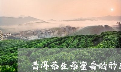 普洱茶生茶蜜香的形成/2023062490582