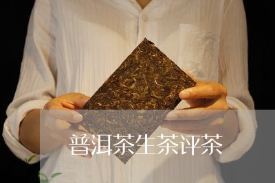 普洱茶生茶评茶/2023081589253