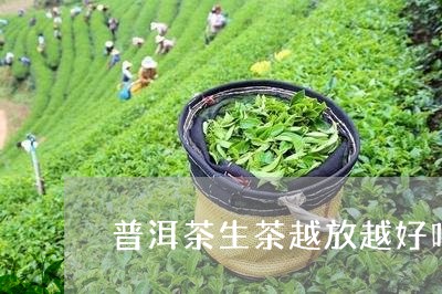 普洱茶生茶越放越好吗/2023062306251