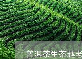 普洱茶生茶越老越好吗/2023062495159