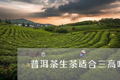 普洱茶生茶适合三高吗/2023062204930