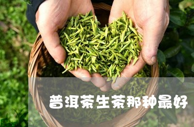 普洱茶生茶那种最好/2023091538280