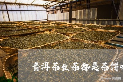 普洱茶生茶都是茶饼吗好吗/2023121704837